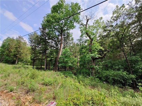 Land, Holiday Island, AR