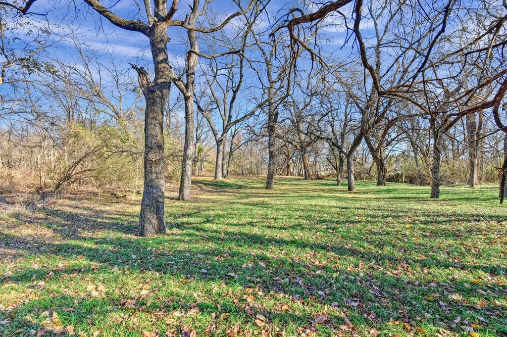 Picture 17