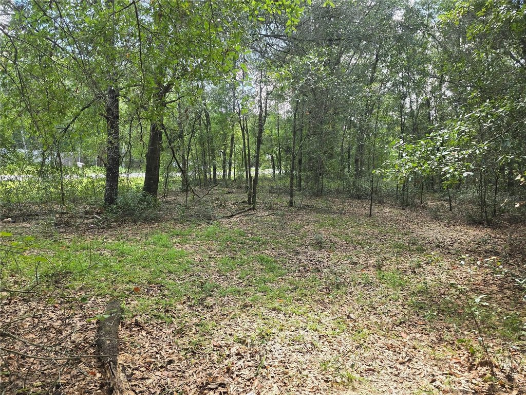 Picture 9