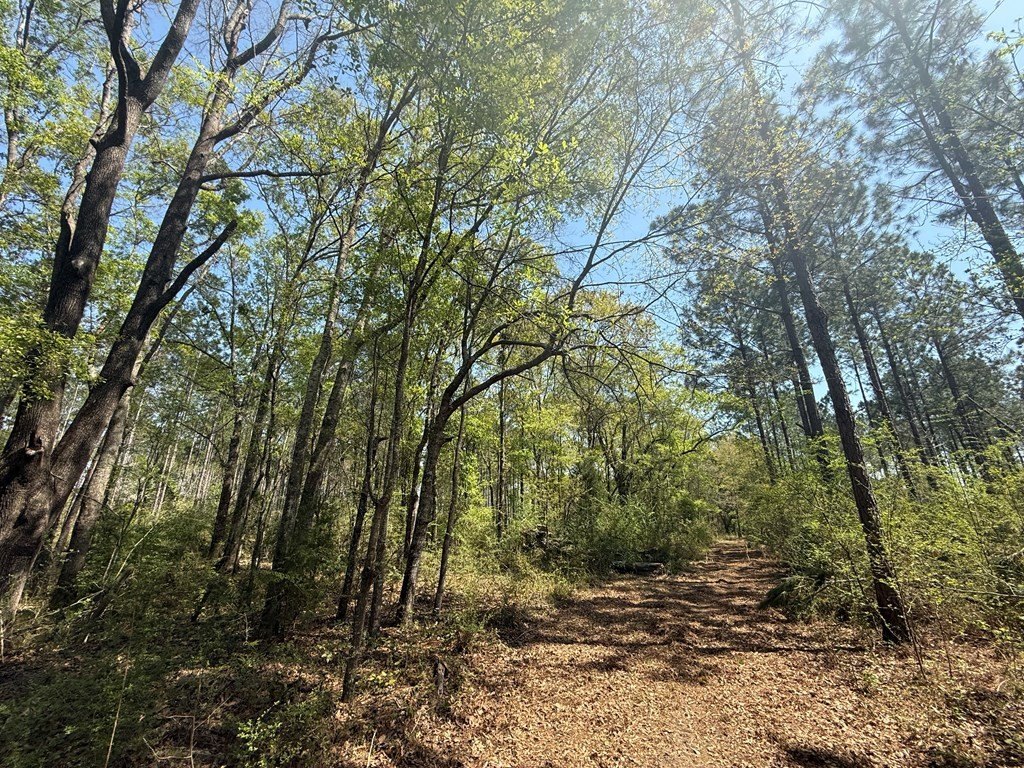 Picture 19