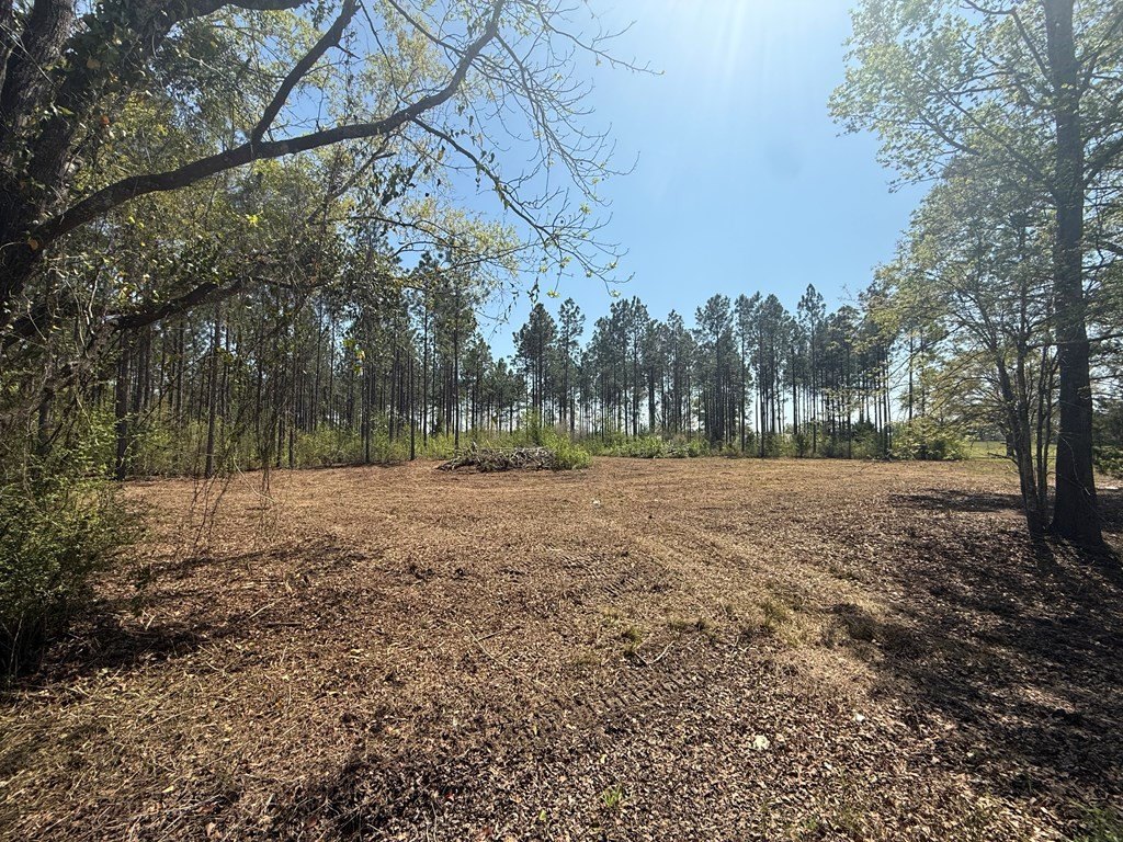 Picture 14