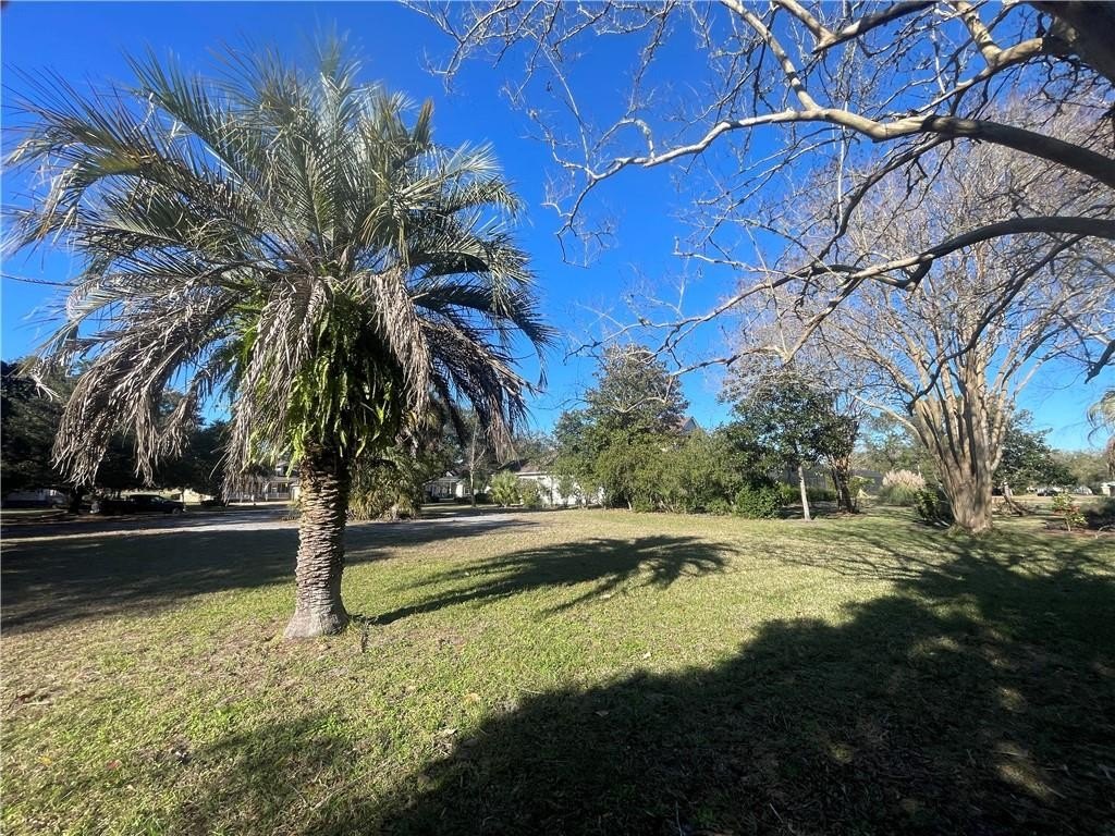 Picture 14