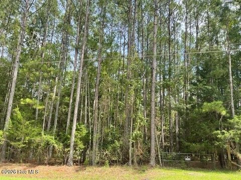 LAND - Appling, GA
