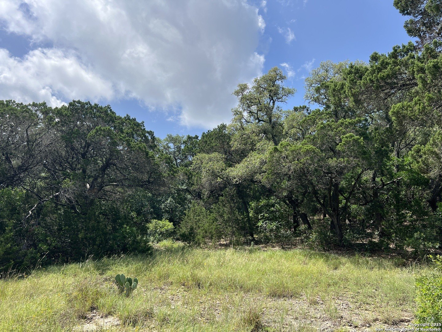 Helotes Land on Bandera Road