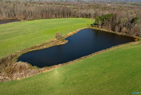 85 Acres Premier Farm Land