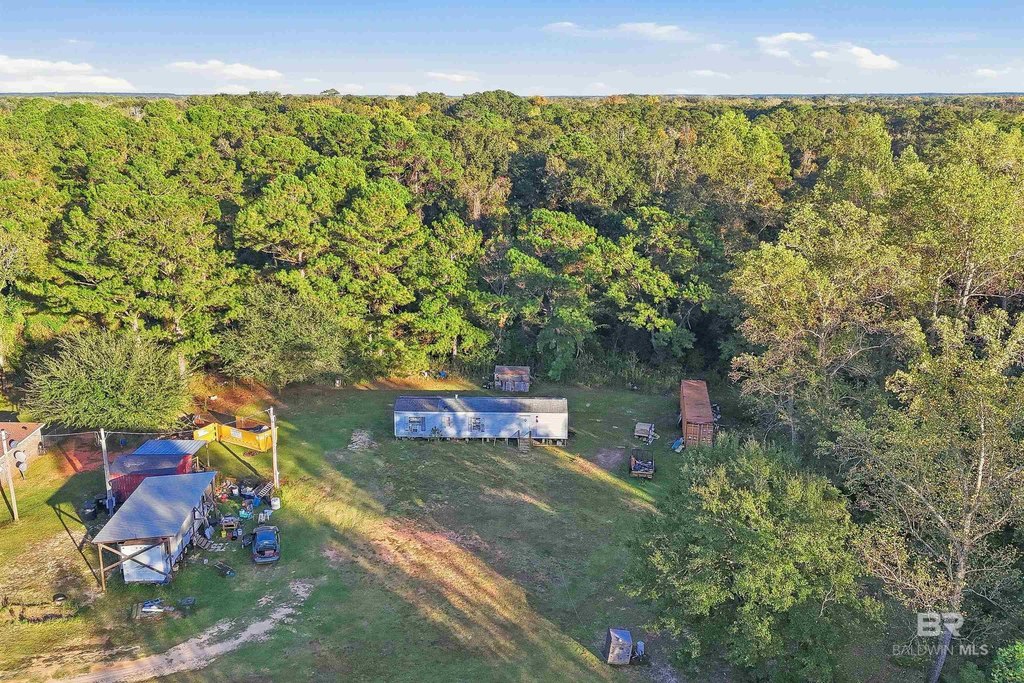 Picture 12