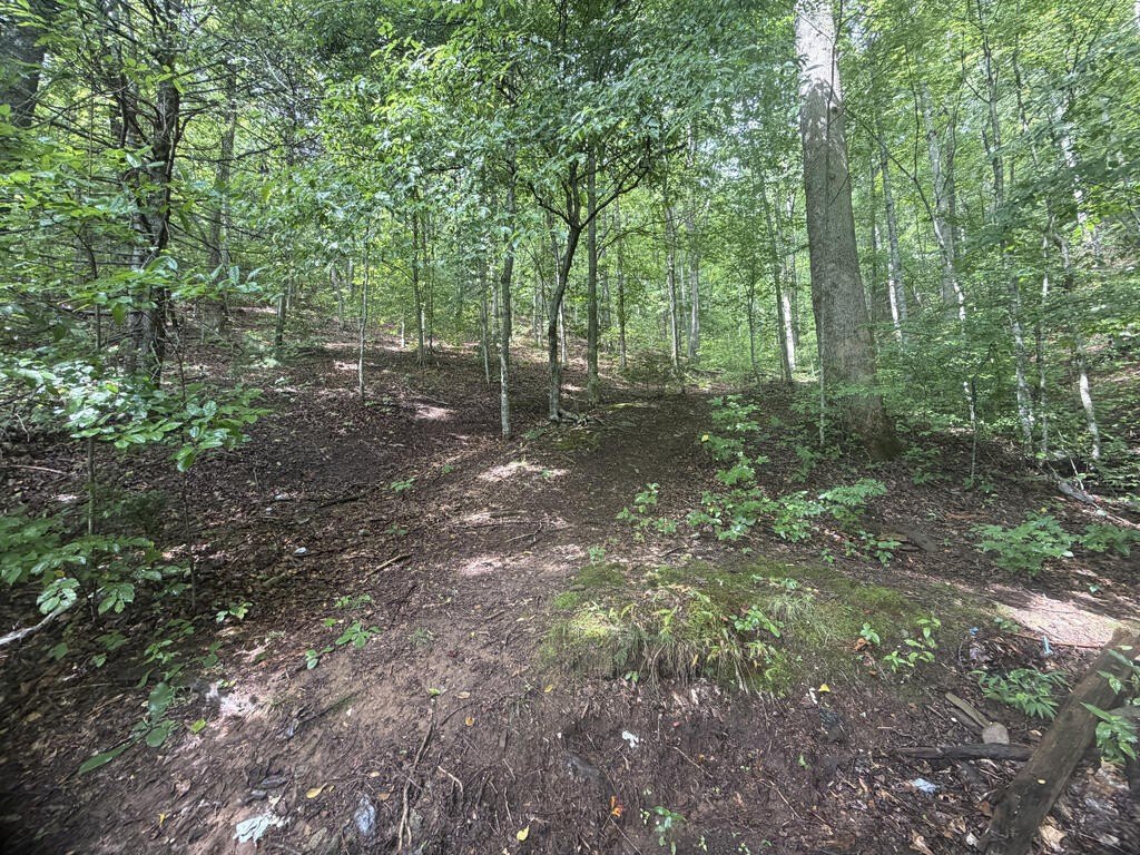Picture 20