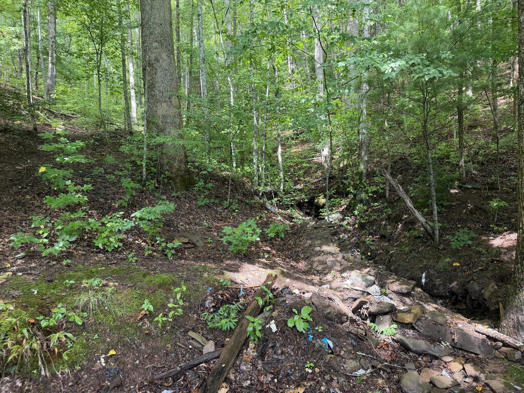 Picture 19