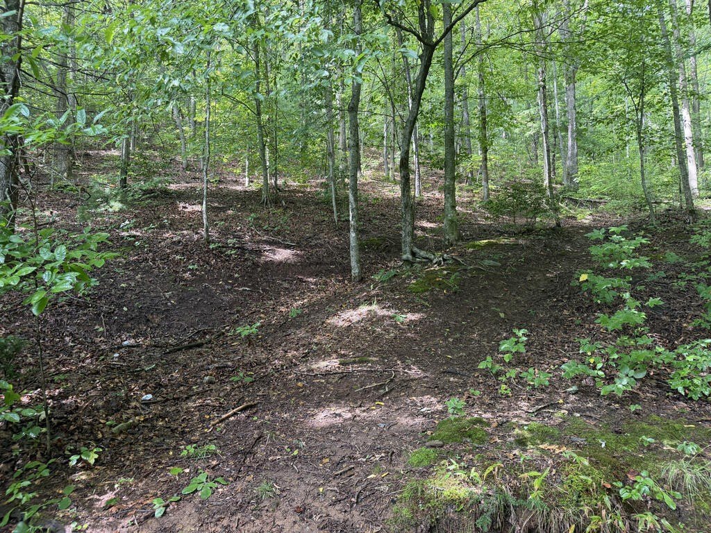 Picture 18