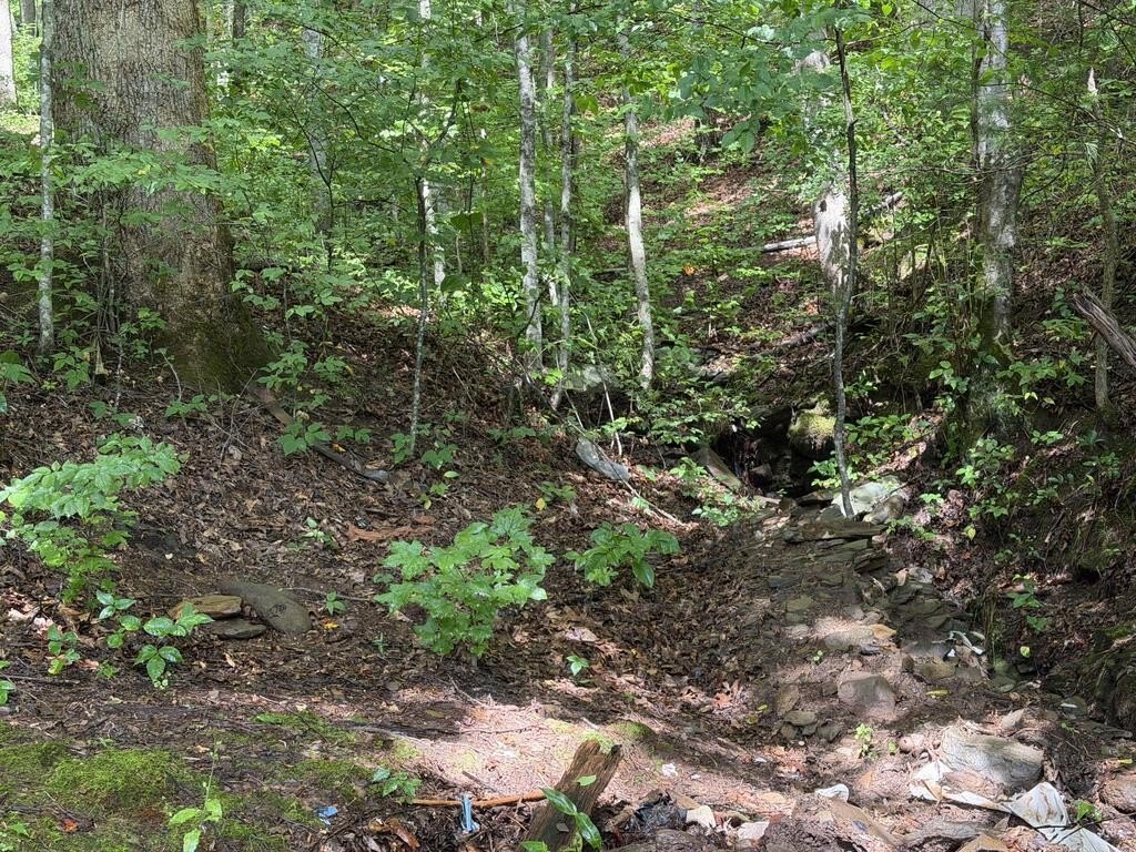 Picture 6