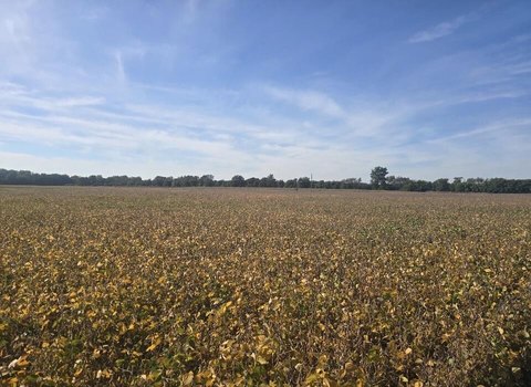 Land, Coldwater, MI