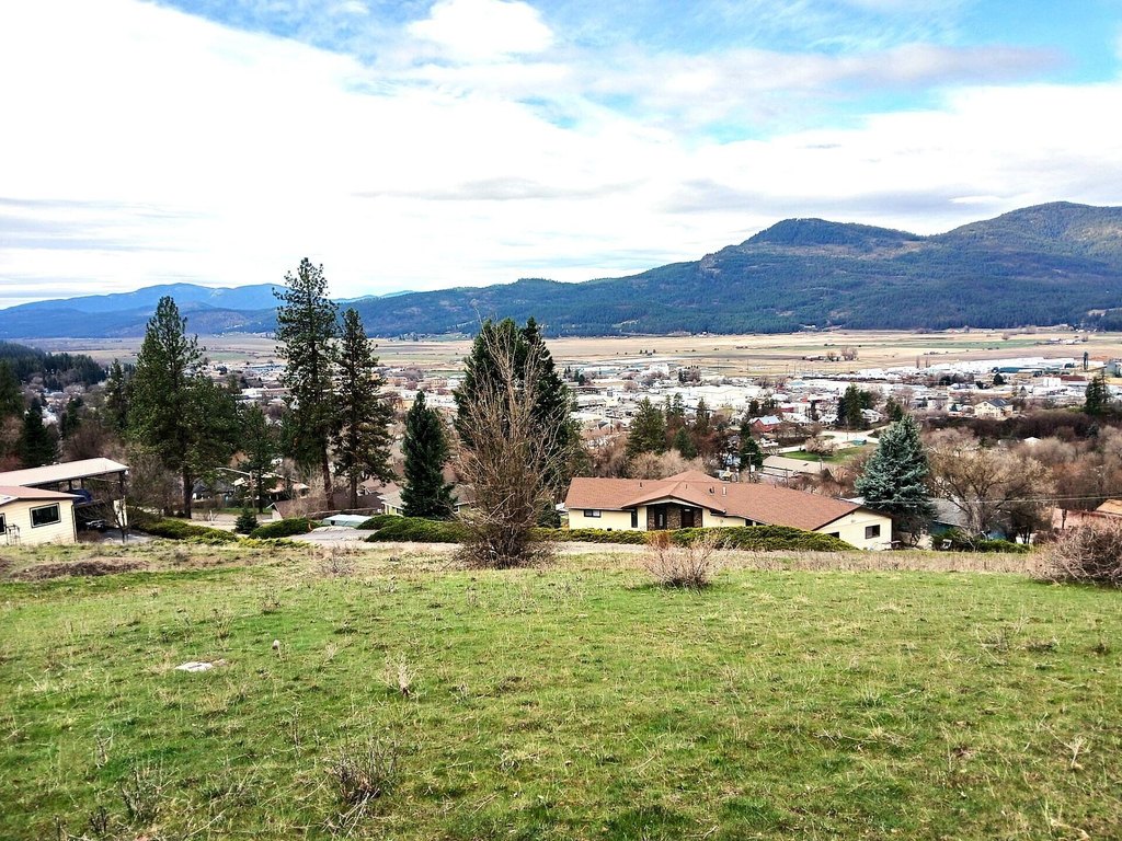 Picture 6