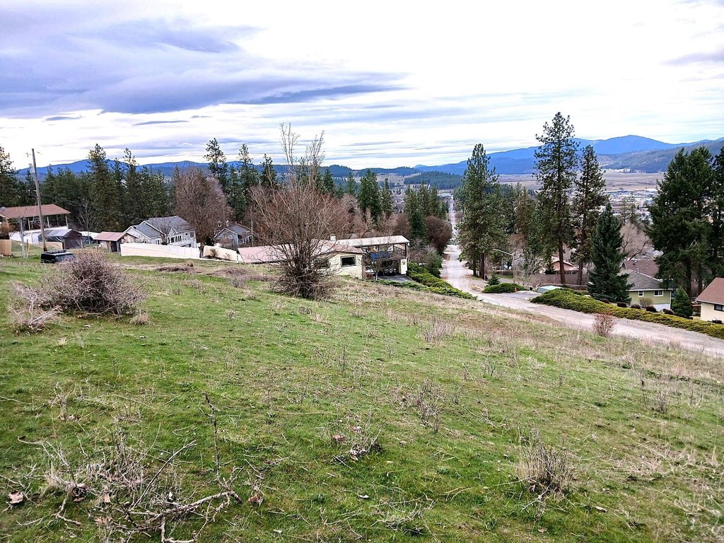 Picture 3