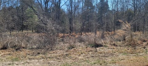 Wooded Land Parcel in Whitsett