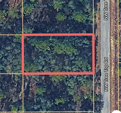 Land, DUNNELLON, FL