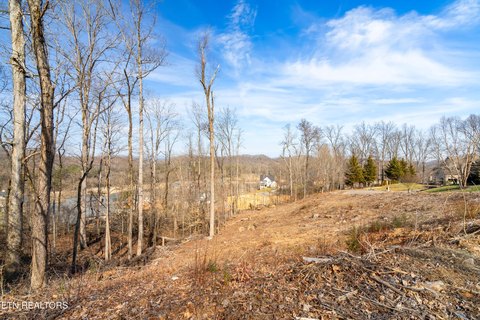 Residential Lot in Avalon Community