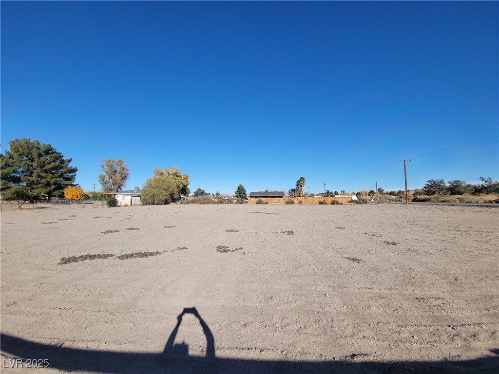 Picture 5