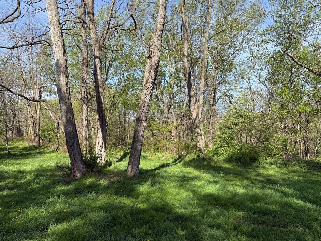 Picture 28