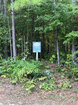 Land, Forsyth, GA