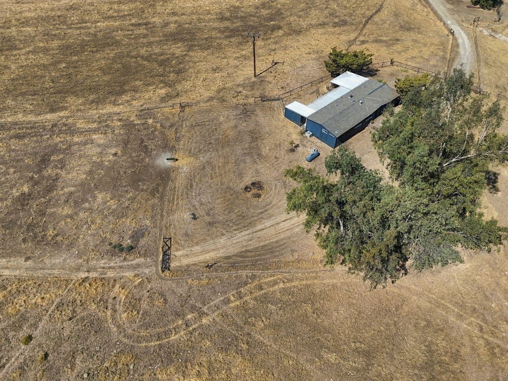Picture 10