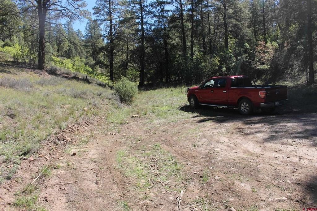 Land in Pagosa Springs, CO