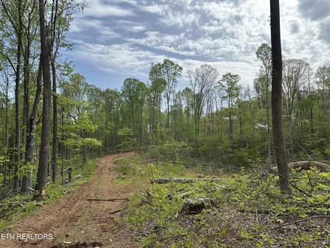 Rocky Top Land with Views
