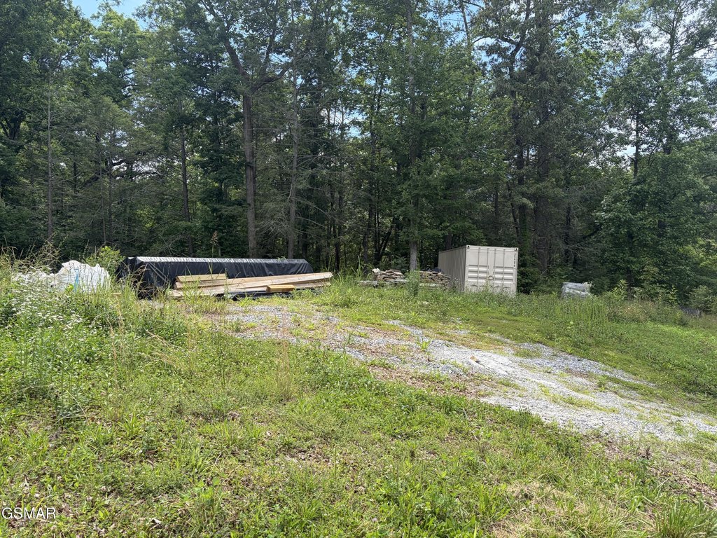 Picture 3