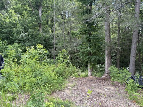 LAND - Sevierville, TN