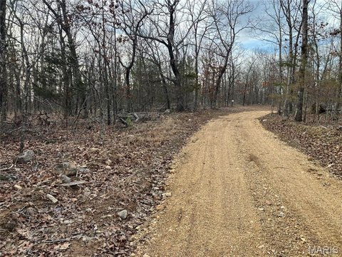 Wooded Acreage Near National Forest