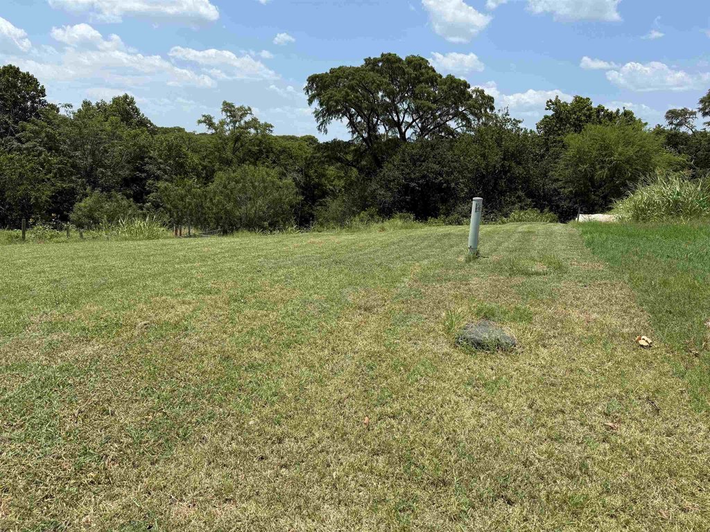 Picture 28