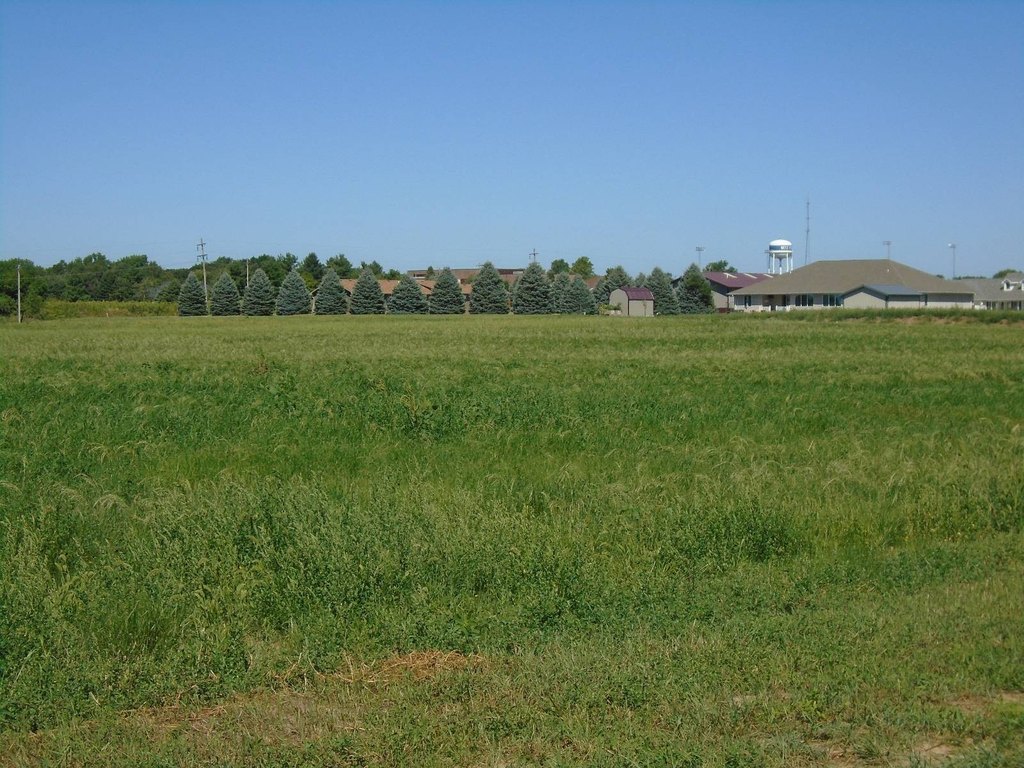 Picture 3
