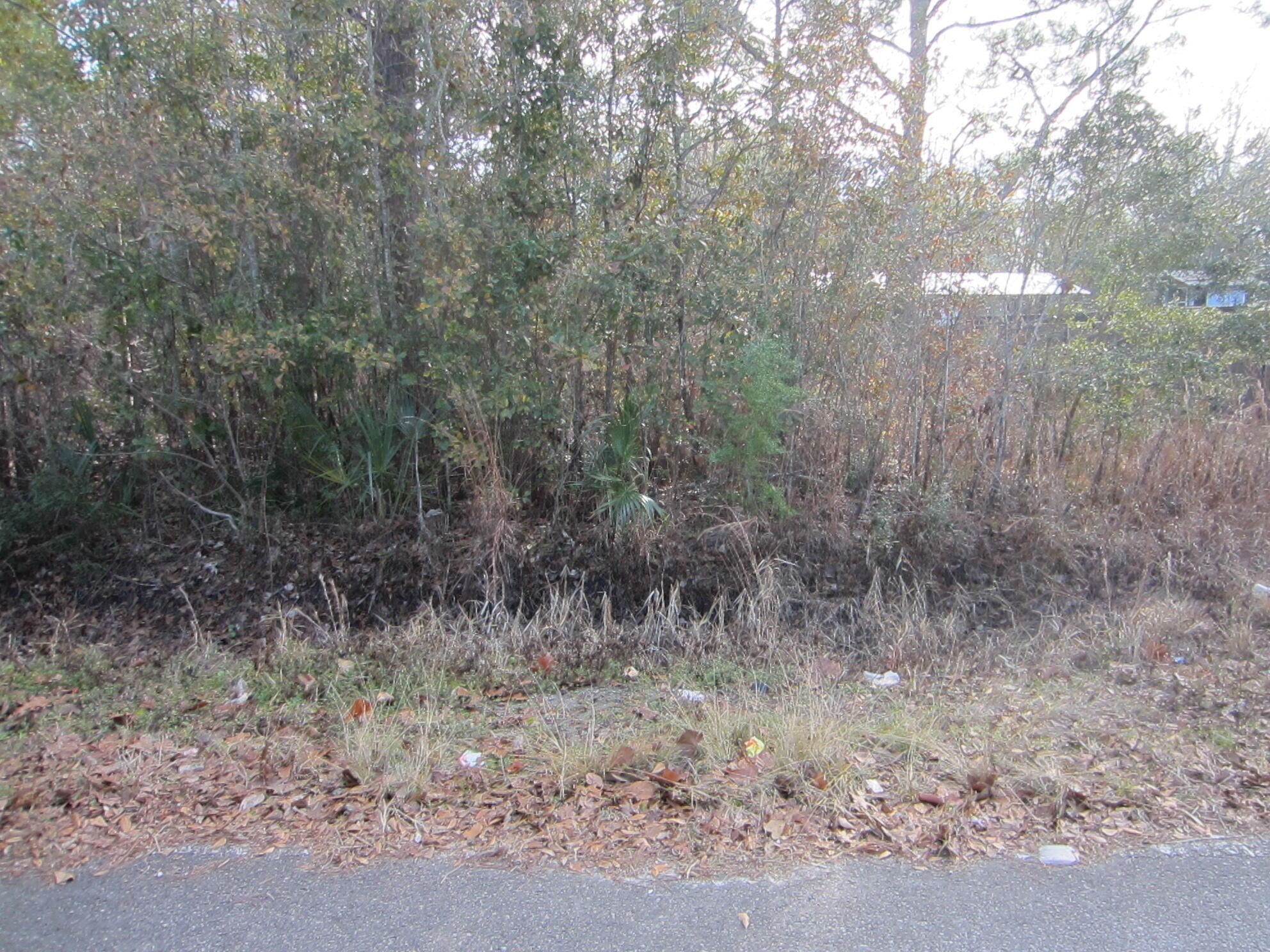 Freeport Land Near Choctawhatchee Bay