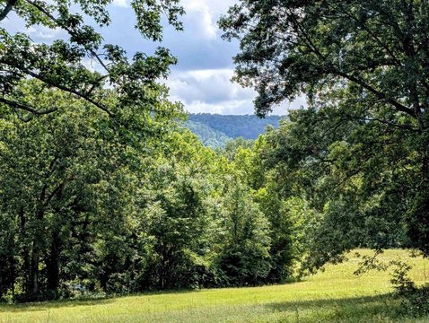 50 Acres in LeFlore County