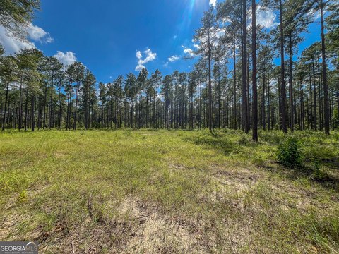 Land, Dexter, GA