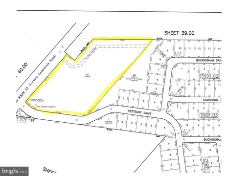 Prime Commercial Corner Lot