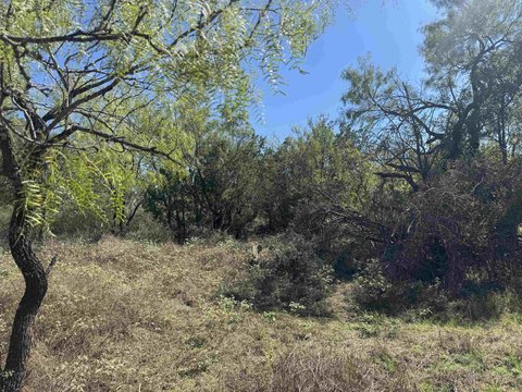 Land, Kingsland, TX