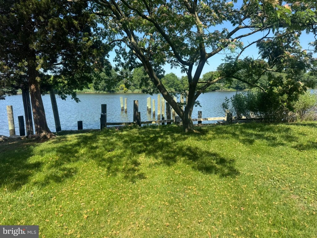 Picture 4