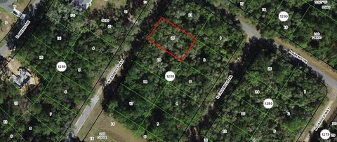 Land, CITRUS SPRINGS, FL
