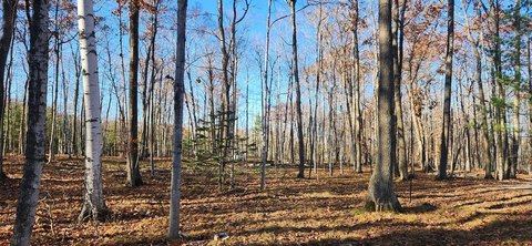 Baileys Harbor Land Investment