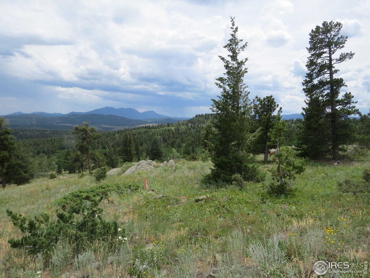 Recreational Land in Gordon Gulch