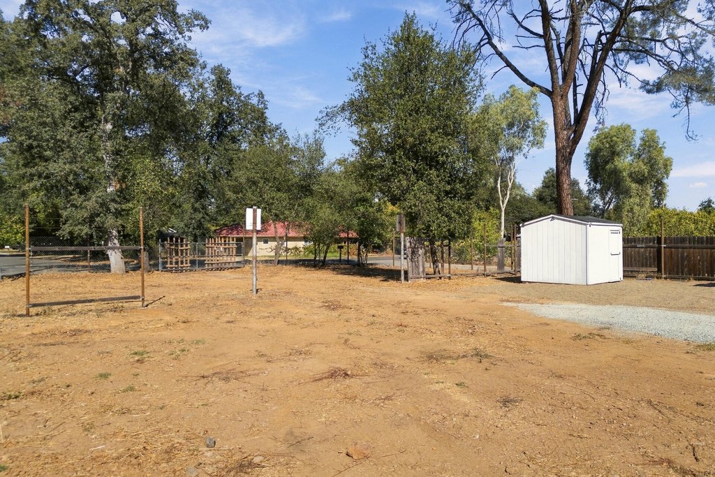 Picture 11