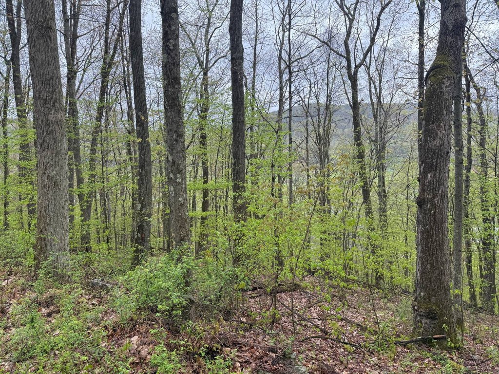 Picture 16