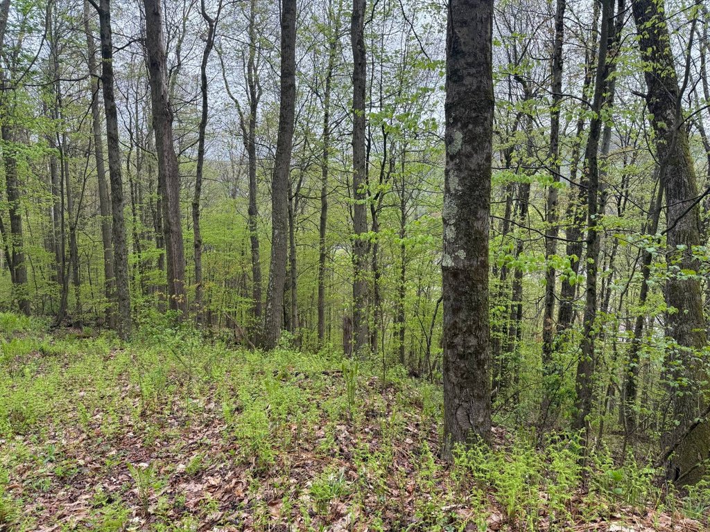 Picture 10