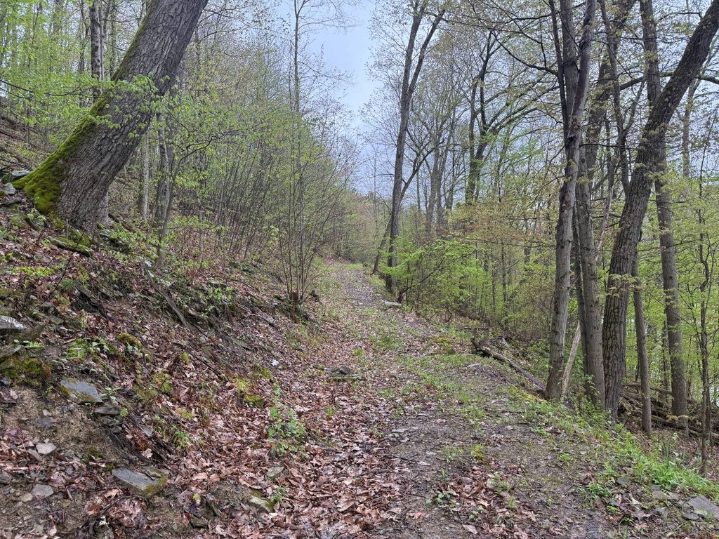 Picture 8