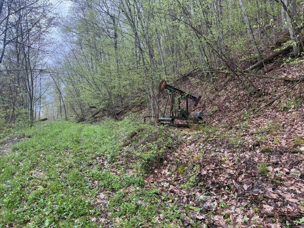 Picture 19