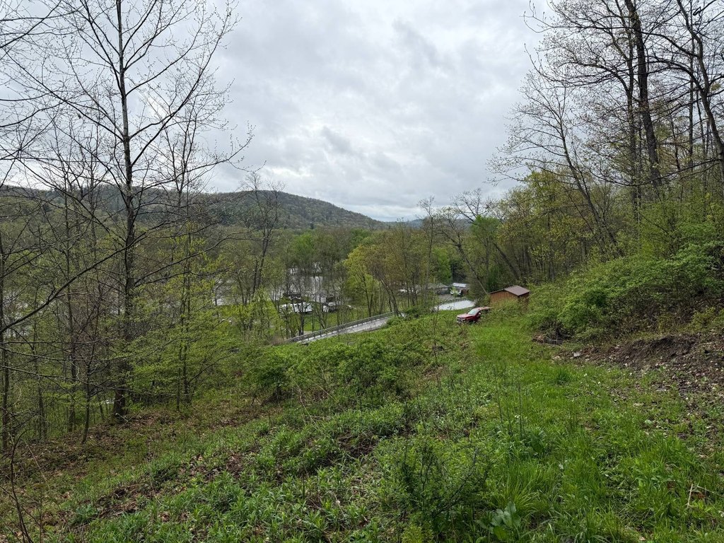 Picture 21