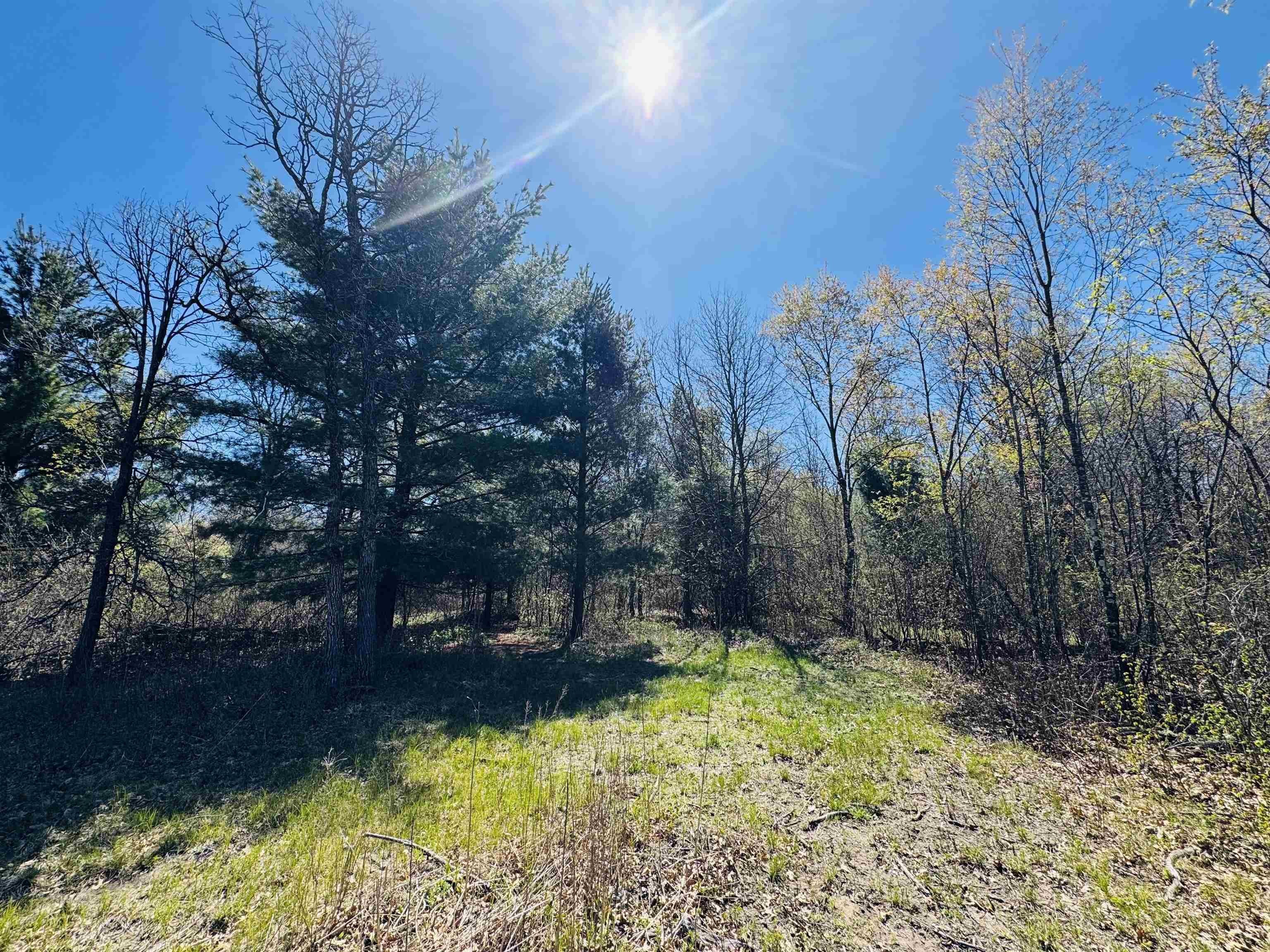 5.93 Acre Wood County Land