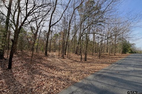 Lake Cypress Springs Land