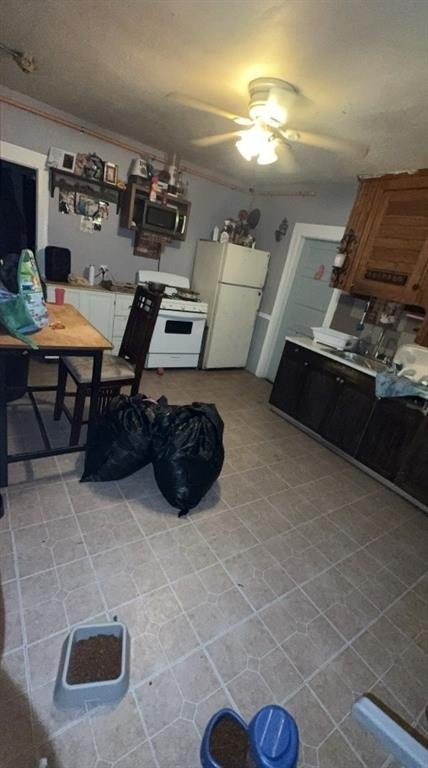 Picture 4