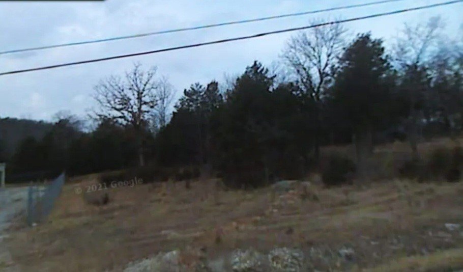 Holiday Island Commercial Property